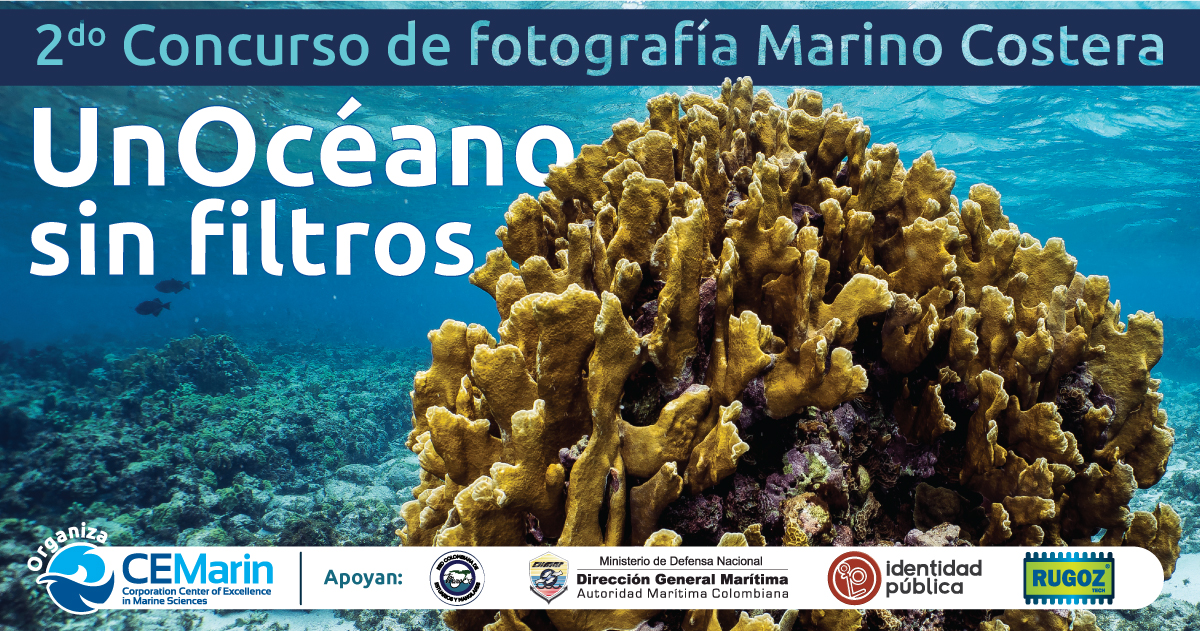 Concurso de Fotografía Marino Costera