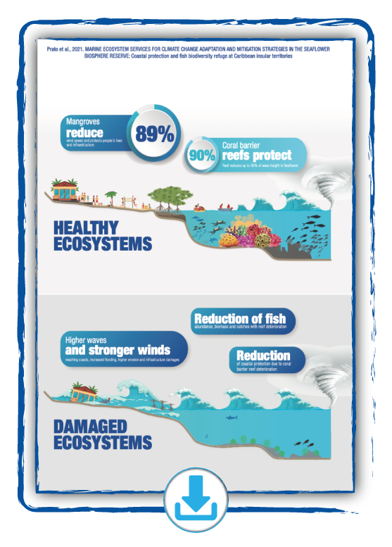 Marine Ecosystem Services for Climate Change Adaptation and Mitigation Strategies in the Seaflower Biosphere Reserve: Coastal Protection and Fish Biodiversity Refuge at Caribbean Insular Territories