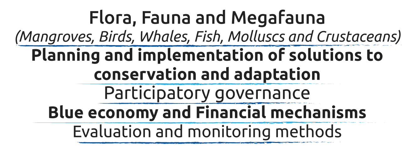 pre-cop16 course concepts 2