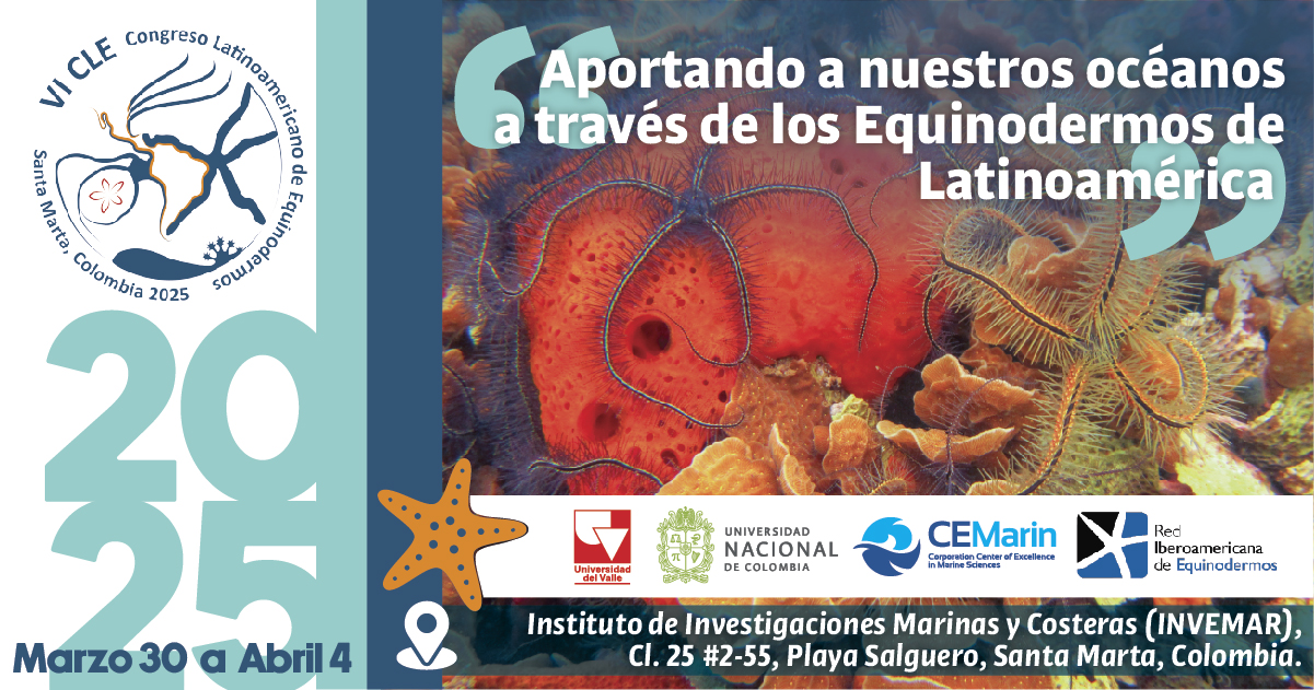 Equinodermos y su rol en la biodiversidad marina