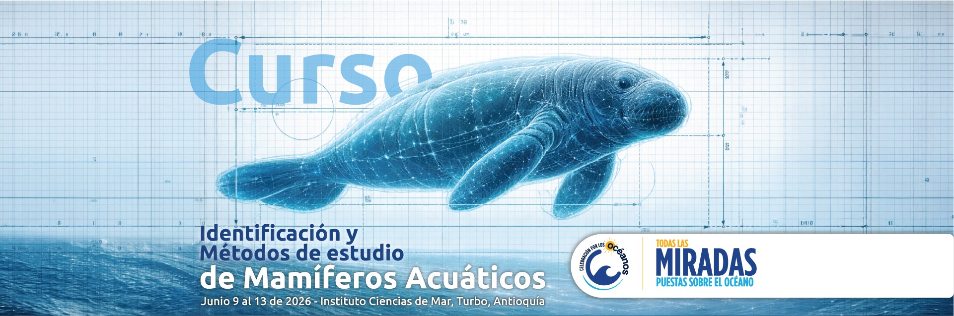 Curso