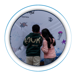 experiencias BNM-08